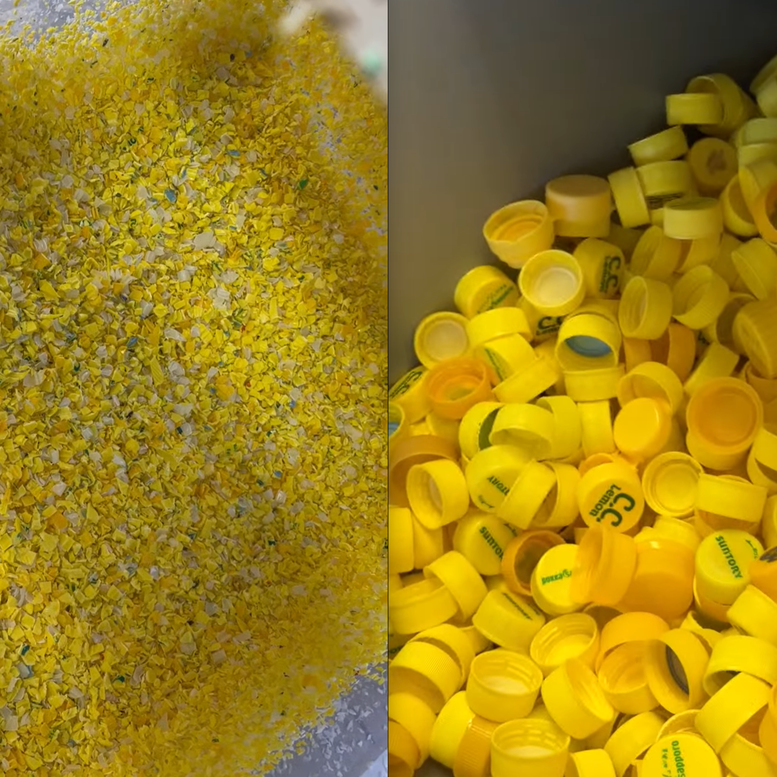 JOGFES2026トロフィーチップ化